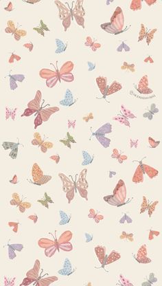 a wallpaper with many different colored butterflies on it