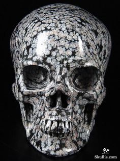 a close up of a skull on a black background with white and gray speckles