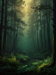 a dark forest filled with lots of tall trees