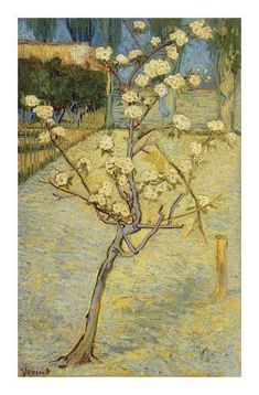 a painting of a tree with white flowers on it's branches in front of a fence