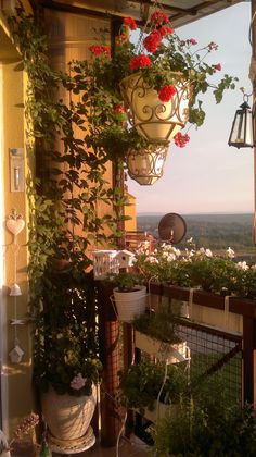 the balcony is full of potted plants and hanging planters