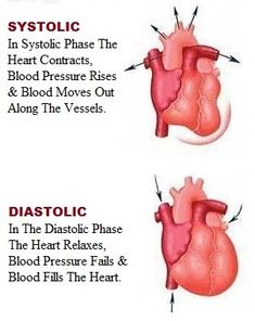 an image of the heart and blood vessels labeled in different languages, with instructions on how to use it