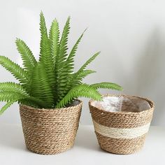 two woven baskets with plants in them on a white tableclothed surface, one has a green plant inside and the other is empty