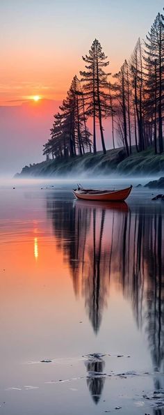 a boat is sitting on the water at sunset with pine trees in the back ground