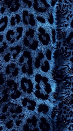 blue and black animal print fur textured on top of each other, with different patterns