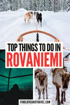 Wondering what to do in Rovaniemi, Finland? Learn about the best things to do in Rovaniemi Lapland including top attractions and travel tips. I have gathered the best things to do in Rovaniemi, the best free things to do in Rovaniemi, Finland travel tips, Rovaniemi travel, things to do in Finland, and more! | Northern lights | winter travel | winter destinations | winter bucket list destinations | Rovaniemi travel guide | Rovaniemi travel tips | Rovaniemi itinerary Travel Northern Lights, Reindeer Farm, Rovaniemi Finland, Visit Helsinki, Santa's Village, Finland Travel, Travel Things, Oceania Travel