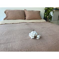 three cotton balls are laying on the bed in front of two pillows and a plant