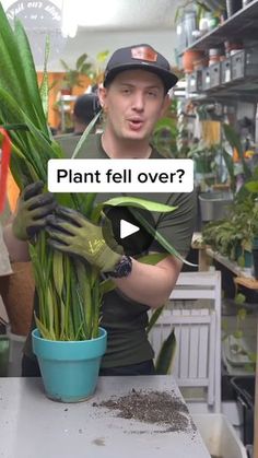 a man holding a potted plant with the words plant fell over