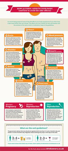 Ever wondered what alcohol is doing to your brain or to your liver? Food For Men, Body Infographic, Alcohol Detox, Man Food, Sugar Detox