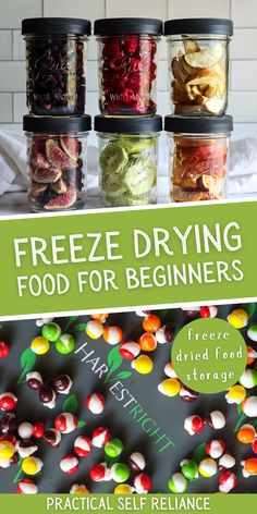 an image of freeze dry food for beginners