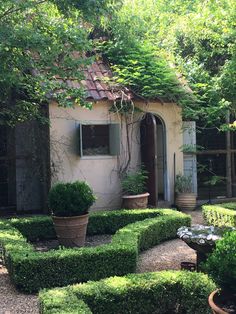 a small house surrounded by hedges and potted plants