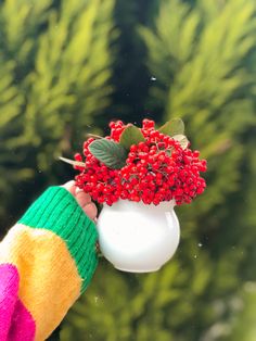 a person holding a white vase with red berries in it and green leaves on the top