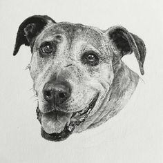 a black and white drawing of a dog