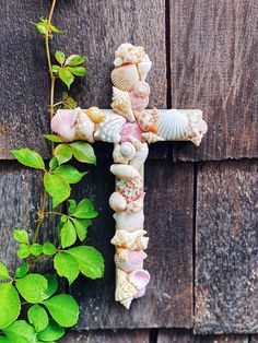 a cross made out of seashells on top of a wooden fence next to a plant