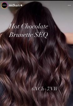 Rich Chocolate Brown Hair Formula, Dark Chocolate Brown Hair Formula, Hot Chocolate Hair, Toner Shades, Chocolate Auburn Hair, Salon Board