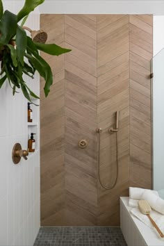 a bathroom with a walk in shower next to a plant