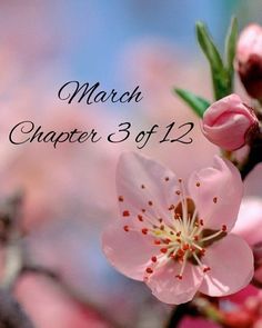 a pink flower is blooming on a branch with the words march, chapel 3 of 12