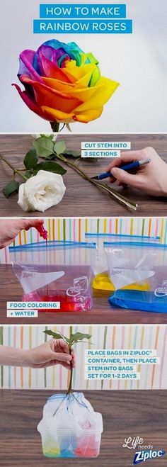 the instructions for how to make rainbow roses with plastic bags and colored flowers in them