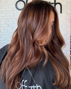 Rose Copper Brown Hair, Dimensional Brunette With Copper, Root Melt Auburn, Honey Tones Brown Hair, Chocolate Brown With Auburn Highlights, Fall/winter Brunette Hair, Brunette Balayage Hair Copper, Orangey Brown Hair