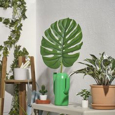 there is a potted plant on the shelf next to some other pots and plants