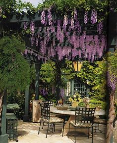 an outdoor dining area with wister hanging over the table and chairs, surrounded by greenery