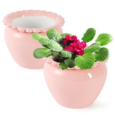 two pink vases with flowers in them on a white background