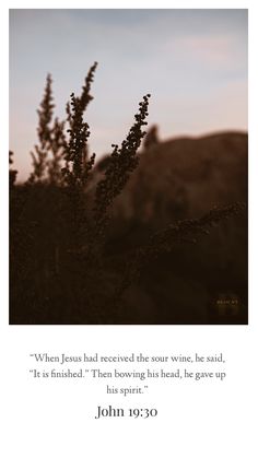 a plant with the words john 10 30 on it and an image of mountains in the background