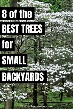 trees with white flowers and the words 8 of the best trees for small backyards