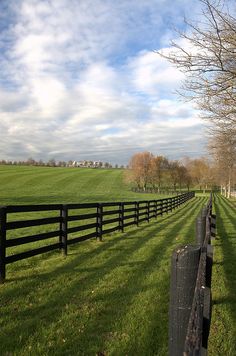 a black fence in the middle of a grassy field