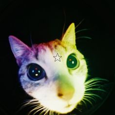 a close up of a cat's face with green eyes and stars on it