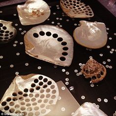 several shells are arranged on a table with holes in the shell and dots around them