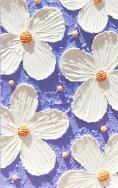 white paper flowers are arranged on a blue background