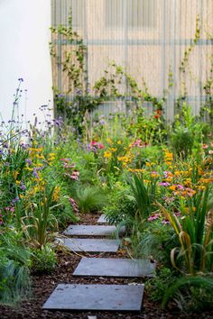 the garden is full of flowers and plants