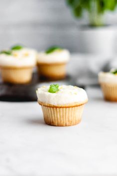 small cupcakes with white frosting and green garnish sitting on a counter