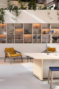 an office with two chairs and a table in front of shelves filled with plants on the wall