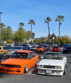 several cars parked in a parking lot with palm trees