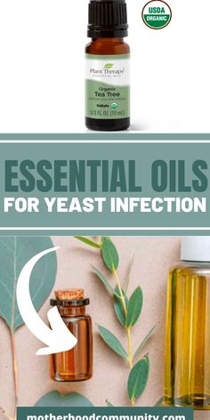 an image of essential oils for yeast and yeast