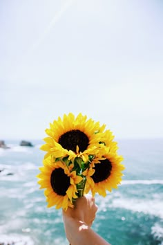 someone holding up a sunflower in front of the ocean