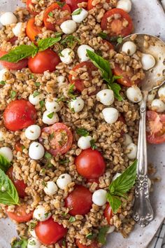 a white plate topped with rice, tomatoes and mozzarella