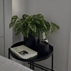 a black table with a plant on it and a book sitting on top of it