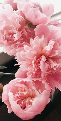 some pink flowers are in a vase on a window sill