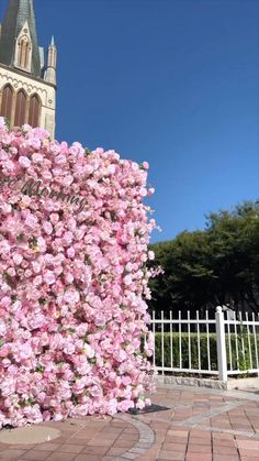 a large pink flowered bush in front of a white fence with a church steeple behind it