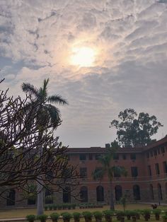 the sun shines brightly in front of an old brick building with palm trees and potted plants