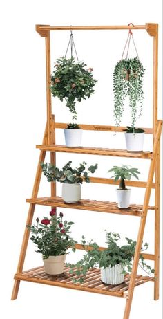 a wooden shelf with potted plants on it