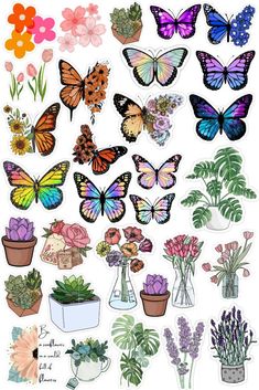 a bunch of different types of flowers and butterflies