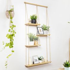 three wooden shelves with plants on them in a white living room, hanging from the wall