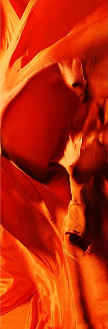 an abstract photograph of orange and red colors