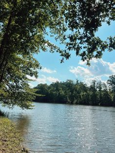 a body of water surrounded by trees and grass