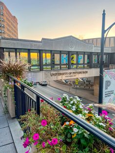 flowers are growing on the balcony of a building with a sign that says university of pittsburgh