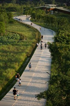 many people are walking on the path in the park, and there is no image here to provide a caption for